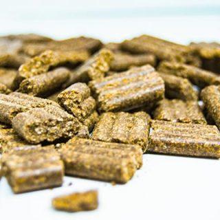 Hladno stiskana pasja hrana v praksi